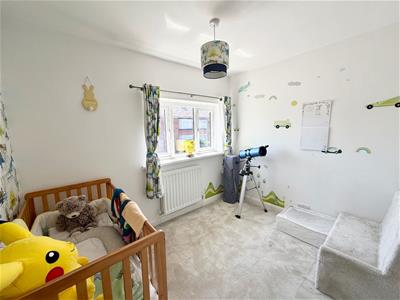 Picture 14